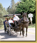 Carriage Ride